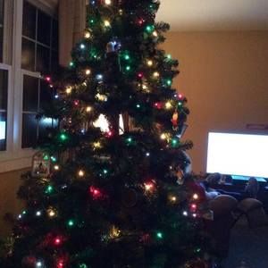 Meet your Posher, Ann